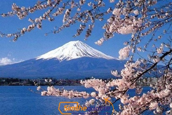 fuji-sakura-japan.jpg