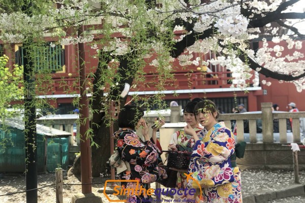 img-d37ab8ed26819704ce05ea59d7bee477-v.jpg