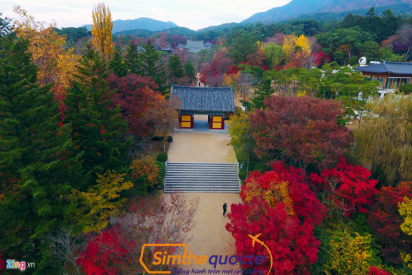untitled-mua-la-do-han-quoc.png